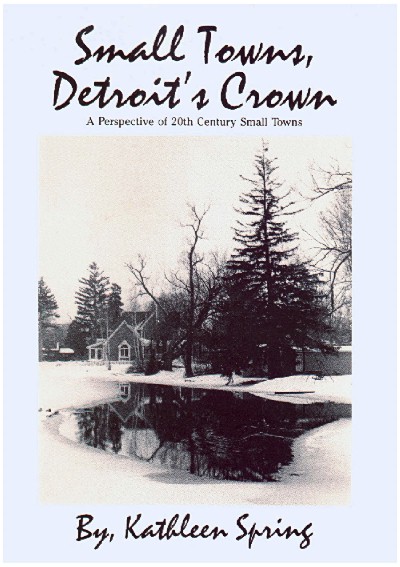 Small Town book
